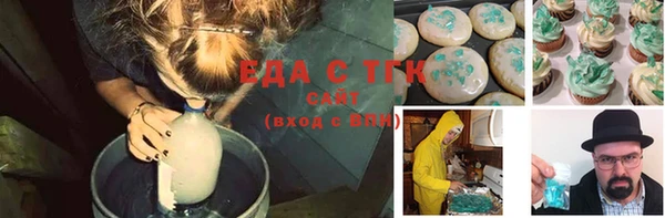 хмурый Новозыбков