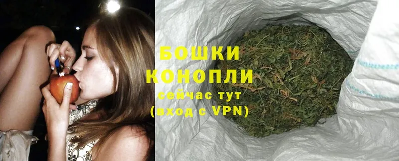 Бошки Шишки THC 21%  Межгорье 